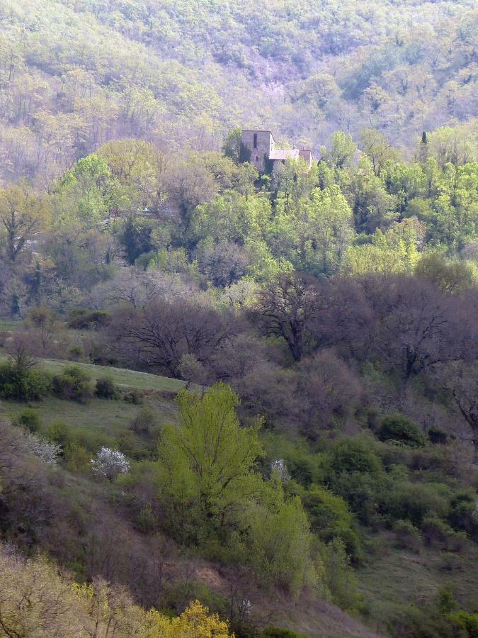 Torre Di Pornello Apartman Kültér fotó